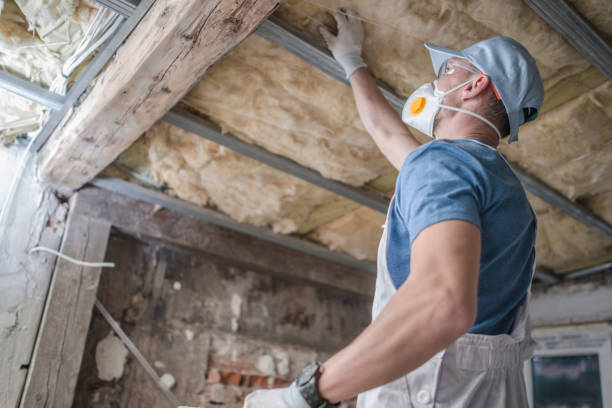 Insulation Inspection Services in Mango, FL