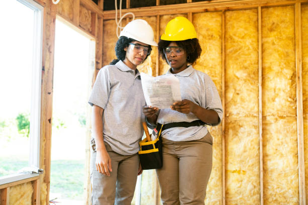 Best Best Insulation Companies  in Mango, FL