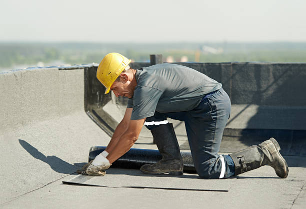 Best Insulation Inspection Services  in Mango, FL