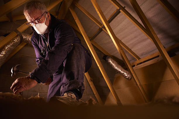 Best Insulation Repair Services  in Mango, FL